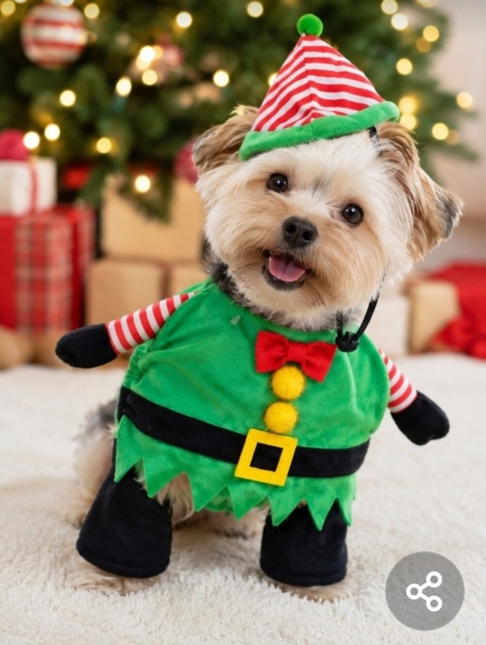 PetShoppe Santa's Helper Elf Costume For Dogs Size XS/S
